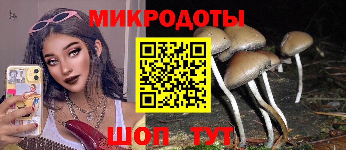 Галлюциногенные грибы Psilocybe  Вход с VPN  цена   Псилоцибиновые грибы Psilocybine cubensis  Новосибирск 